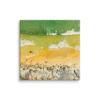 Tea Tree Bay - 1171