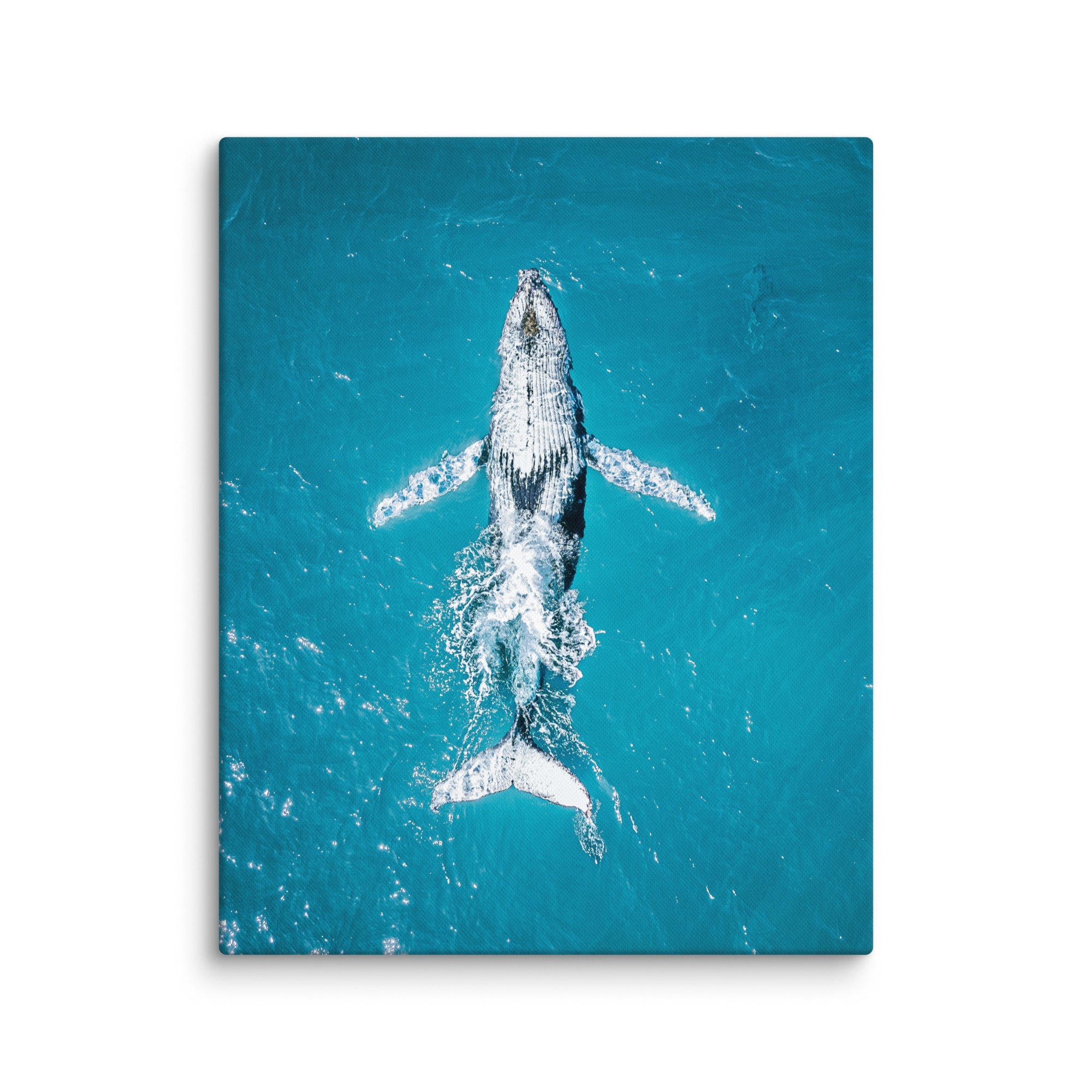 Whale - 1182