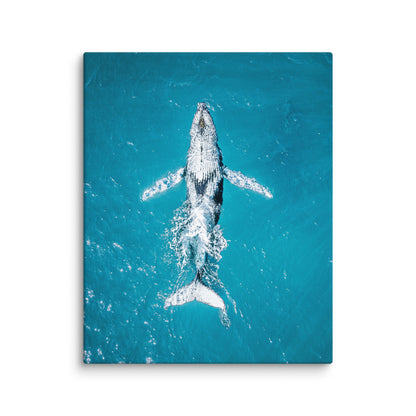 Whale - 1182