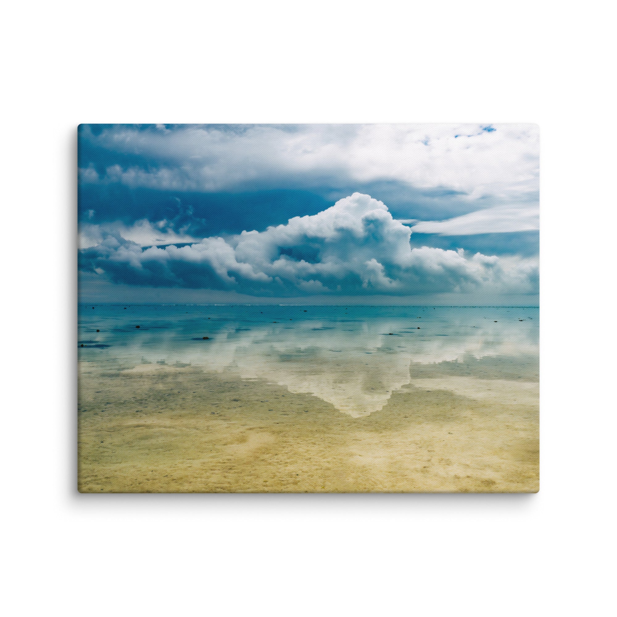 Heron Island - 1169