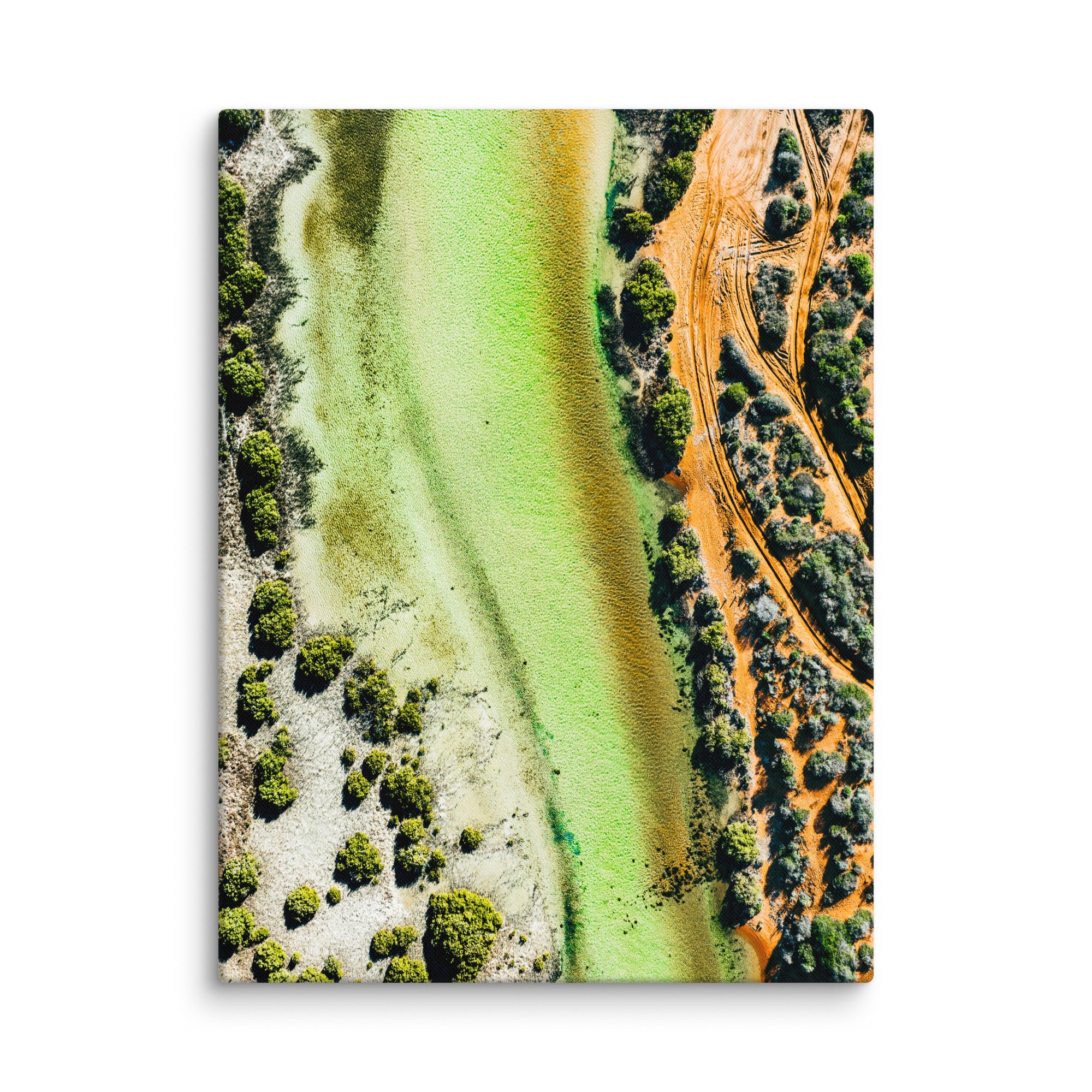 Shark Bay - 1167