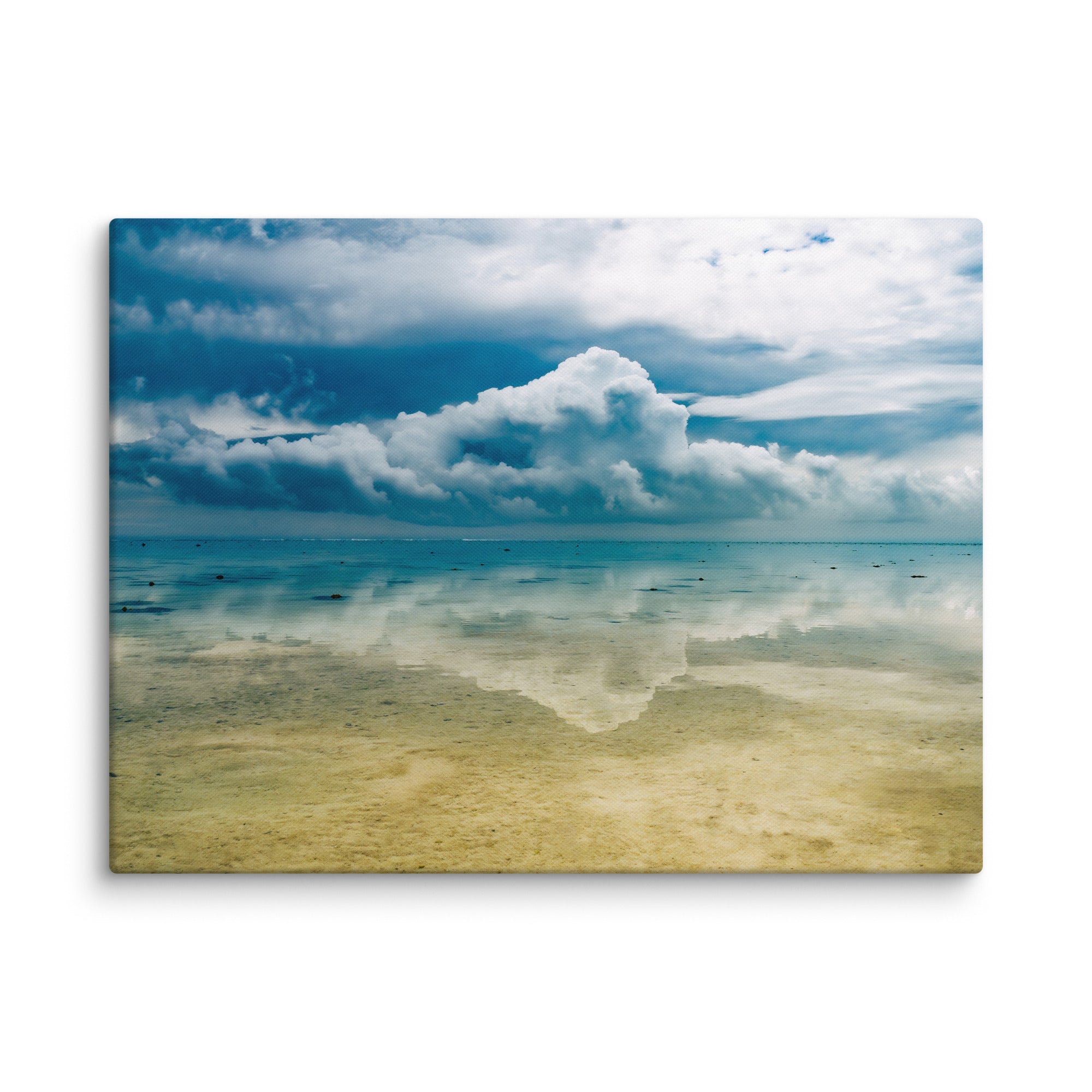 Heron Island - 1169