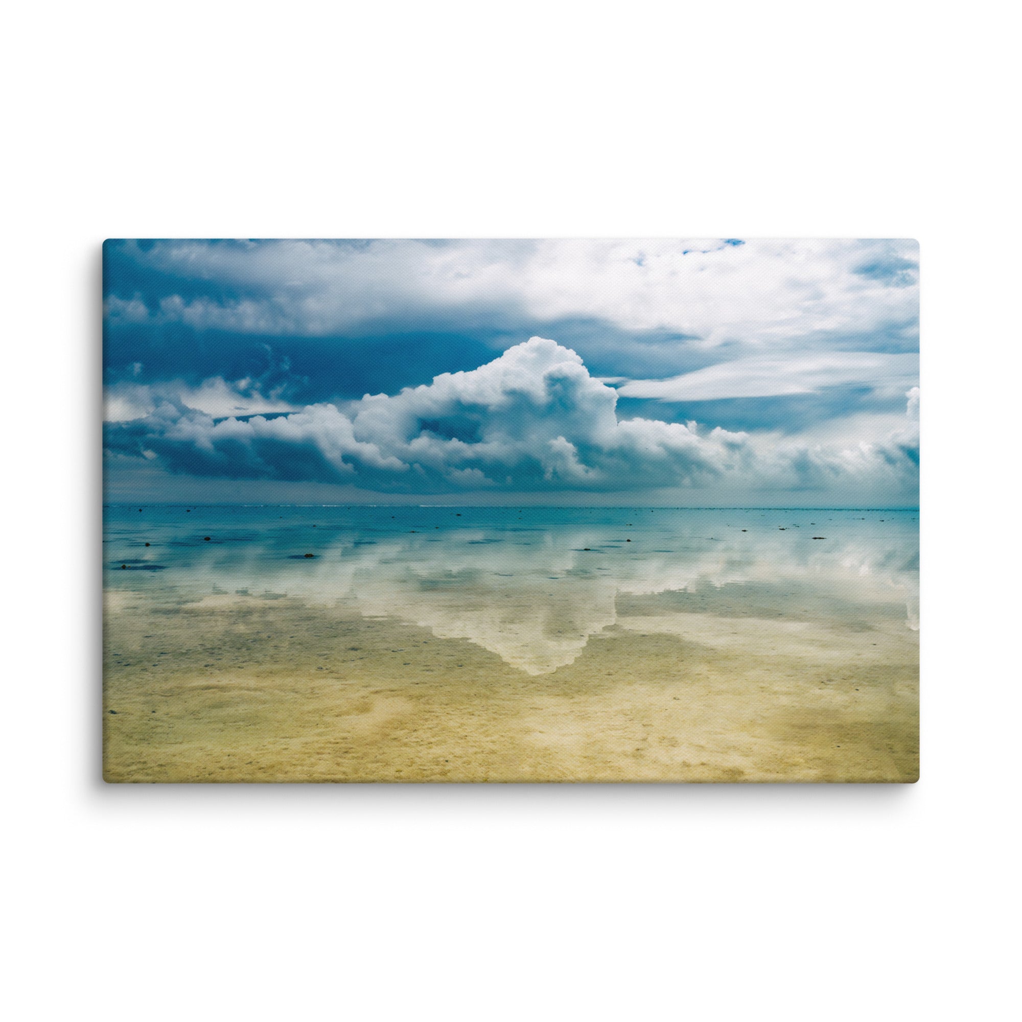 Heron Island - 1169