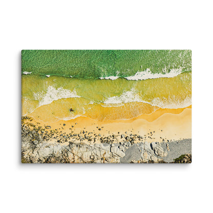 Tea Tree Bay - 1171
