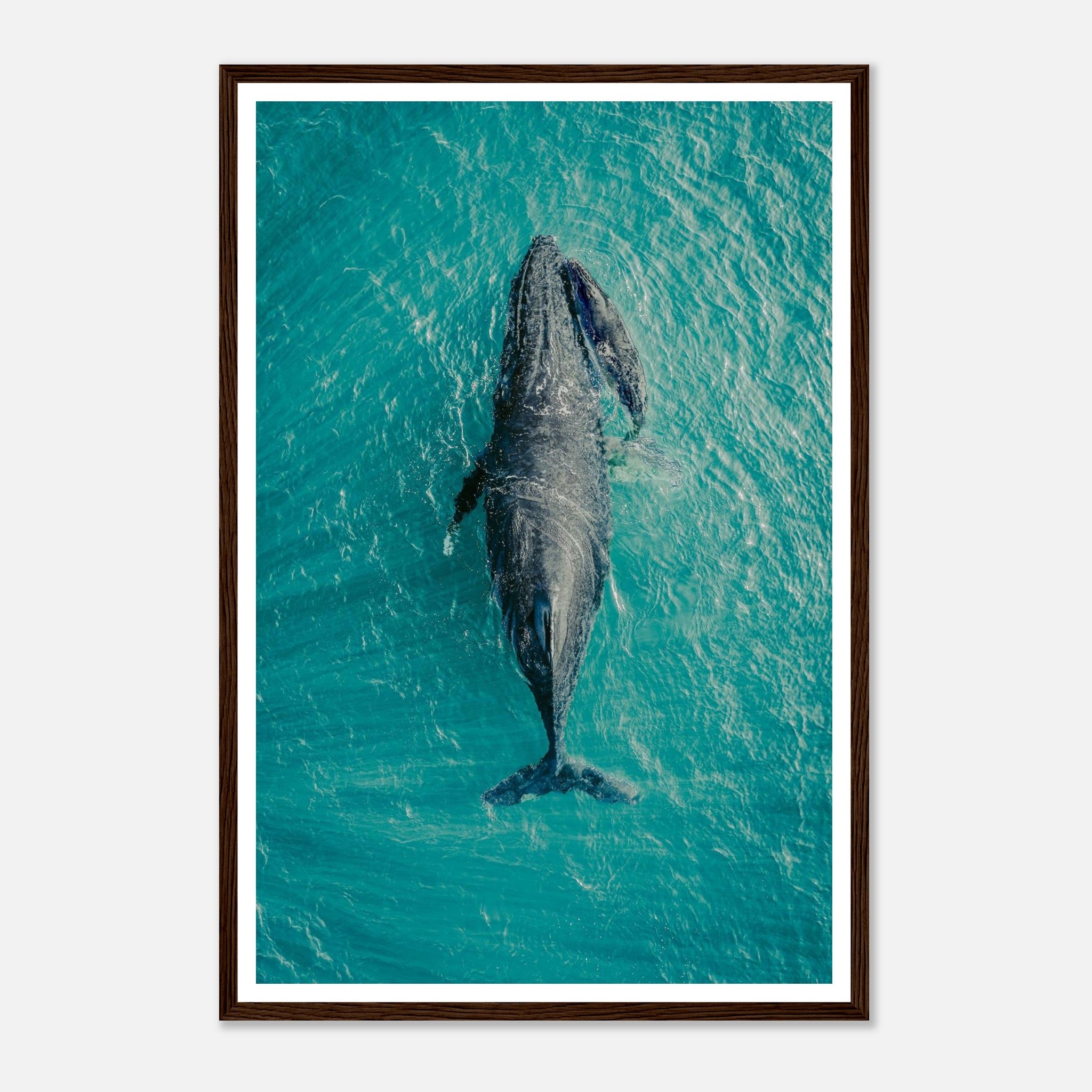 cb073d00-5916-49f2-9b58-740835f8693b