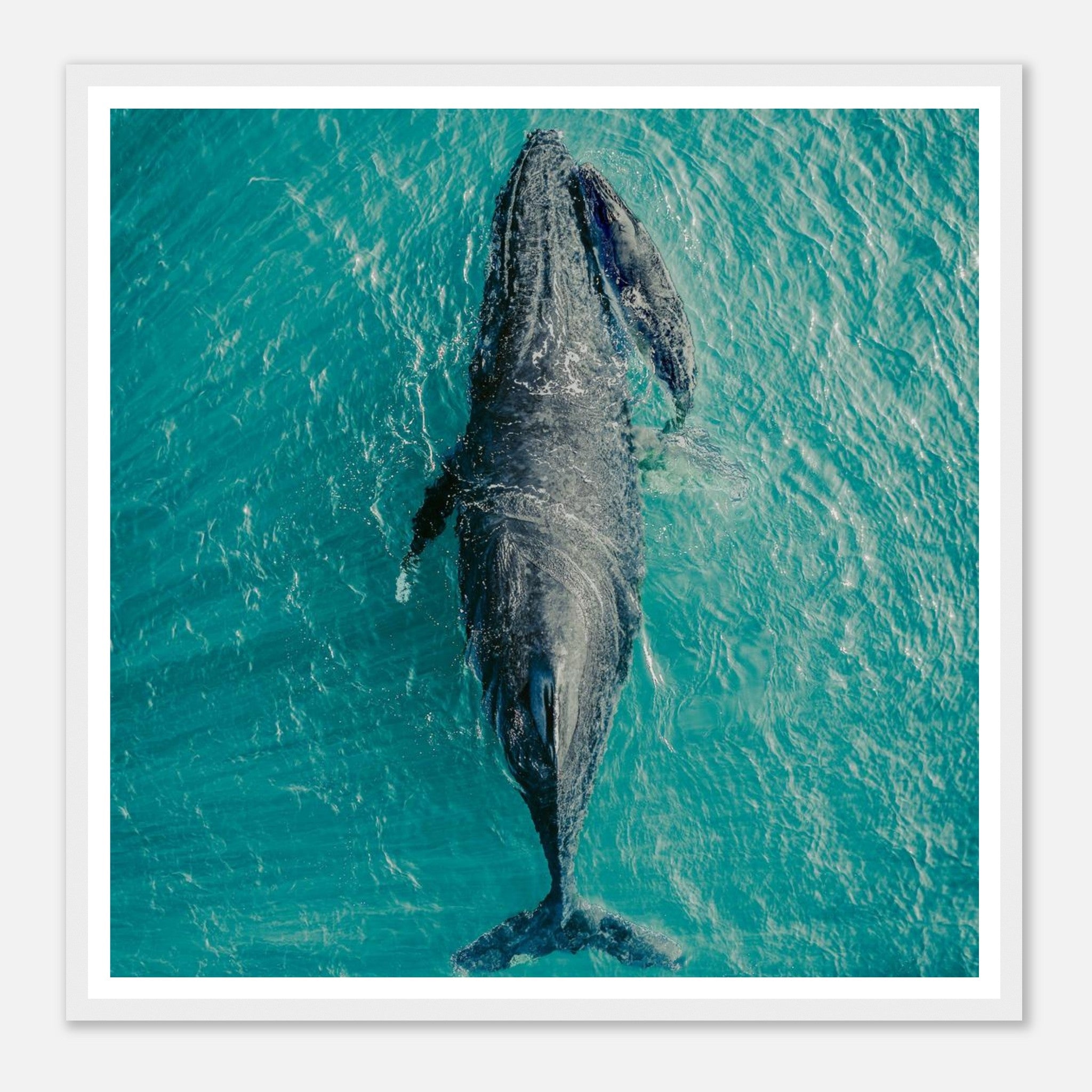 d25bc701-c6ea-40fa-9fe0-9b84ef41e35a