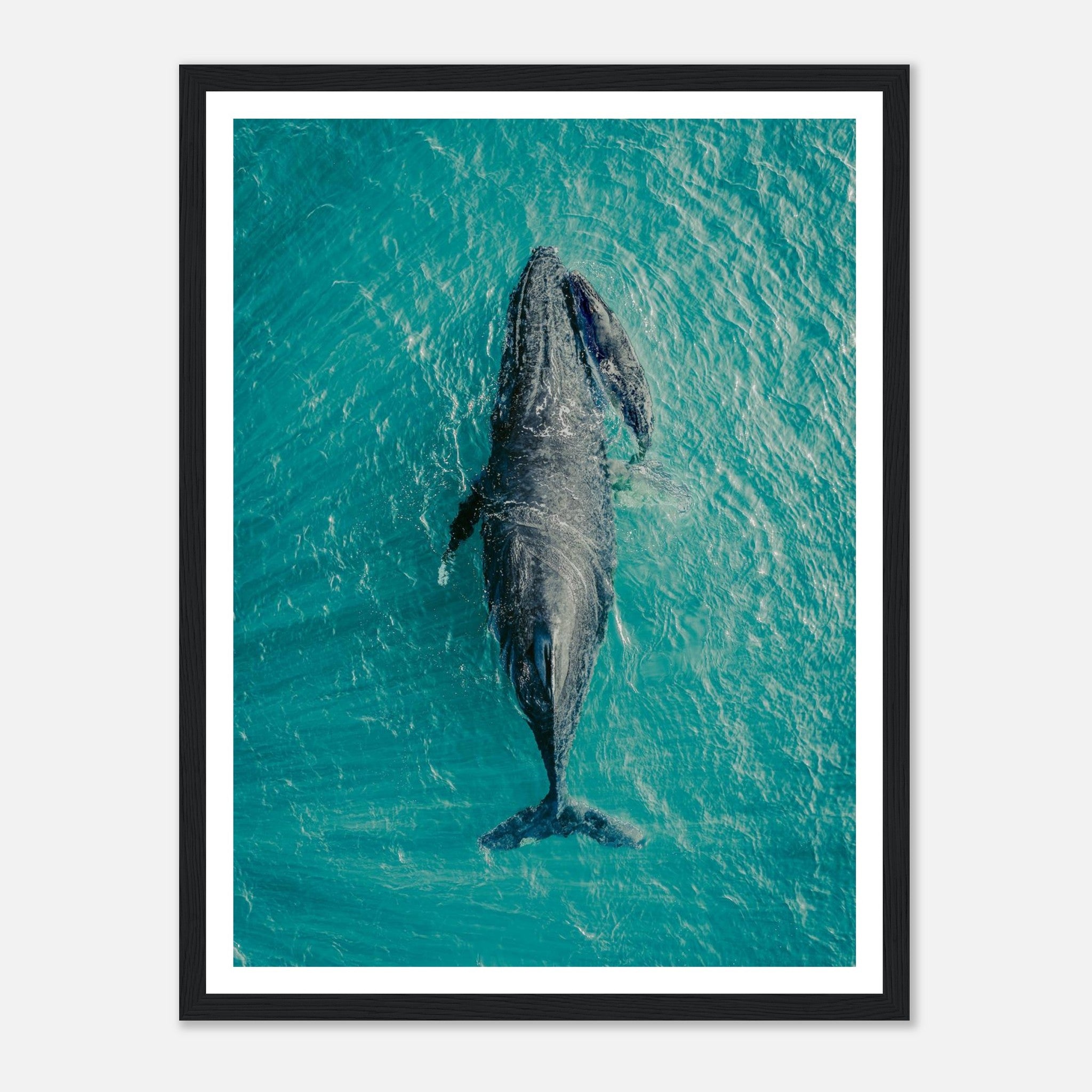 d3658713-e04b-45b4-95cc-e295f513fad1