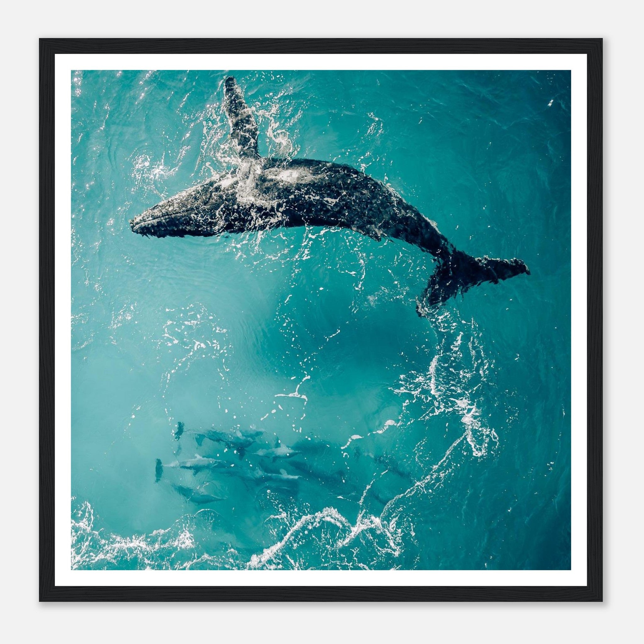 d486b6b1-62d5-4966-863d-b6c9e5b6ed3d