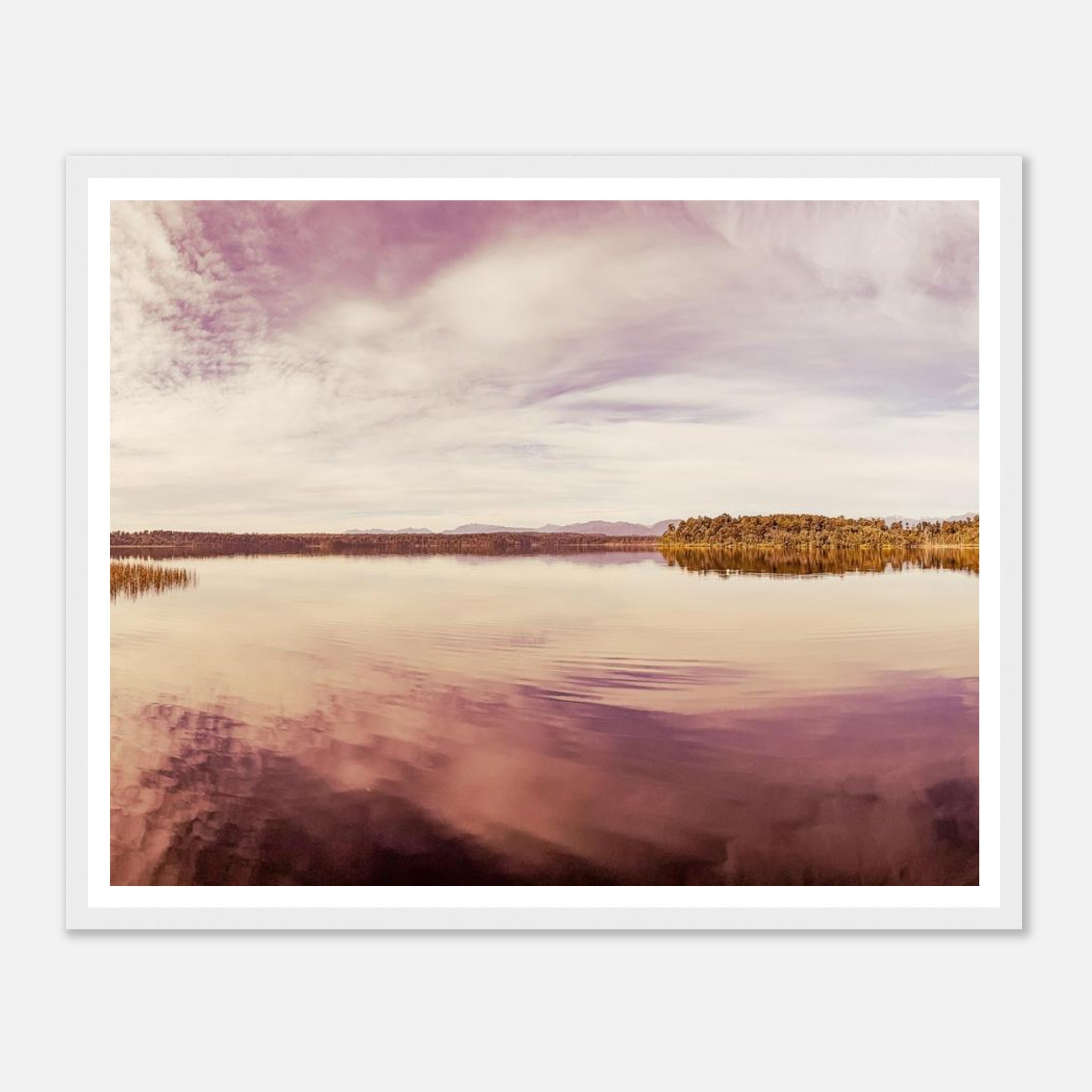 d4d81c9d-0497-48ae-9f59-24160b09305a