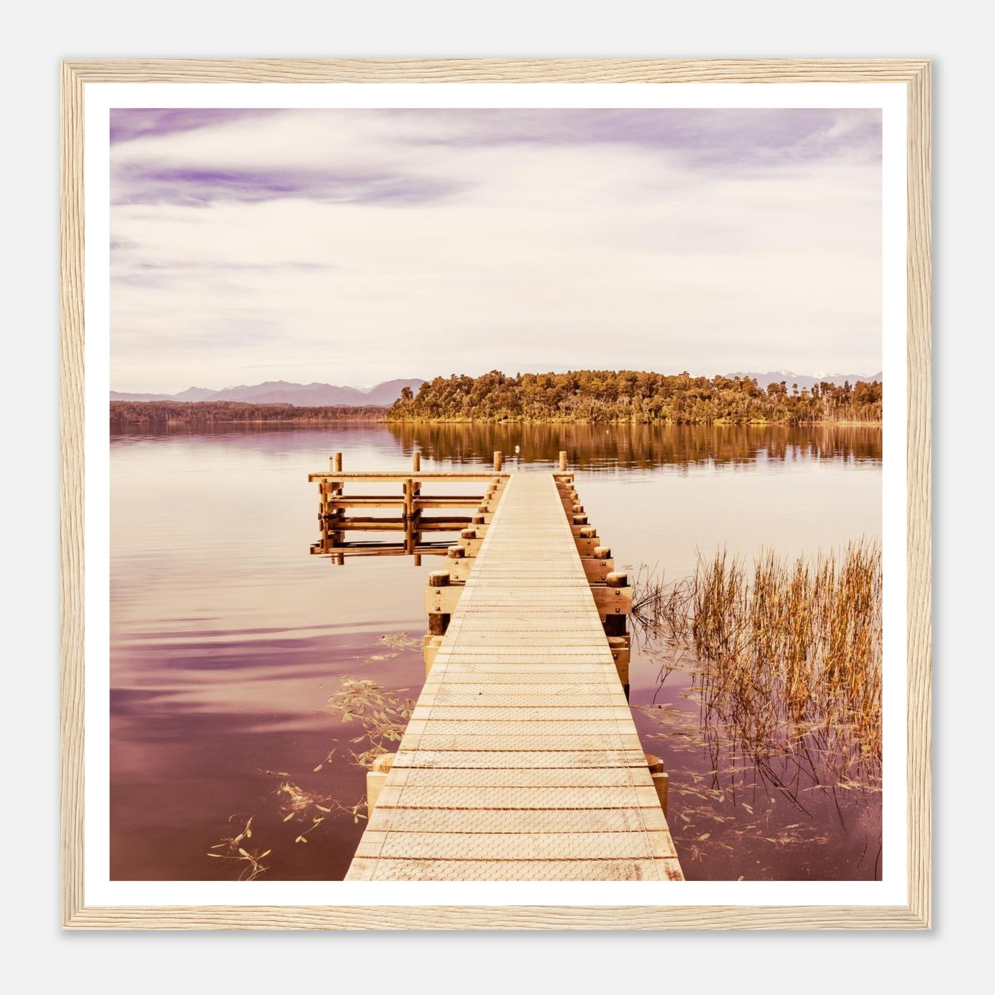 d51eea8f-c9d4-4a78-bbba-1d9b29ececbd