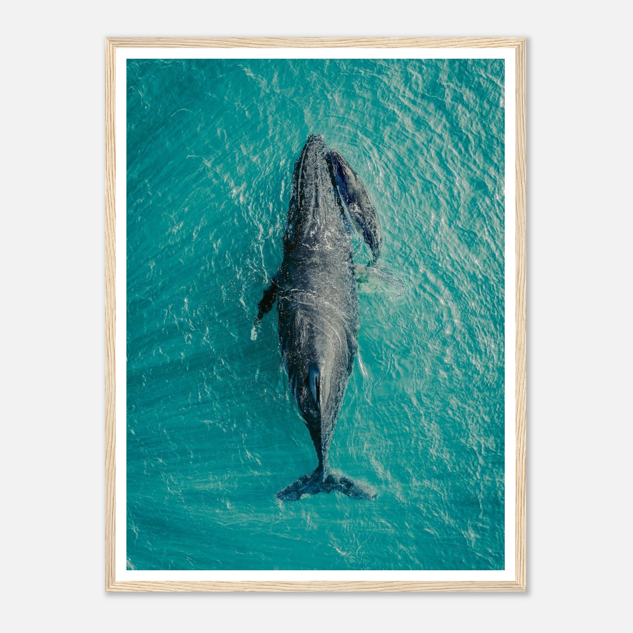 d6504c99-00b5-4bc4-a3a5-26a4a4361948