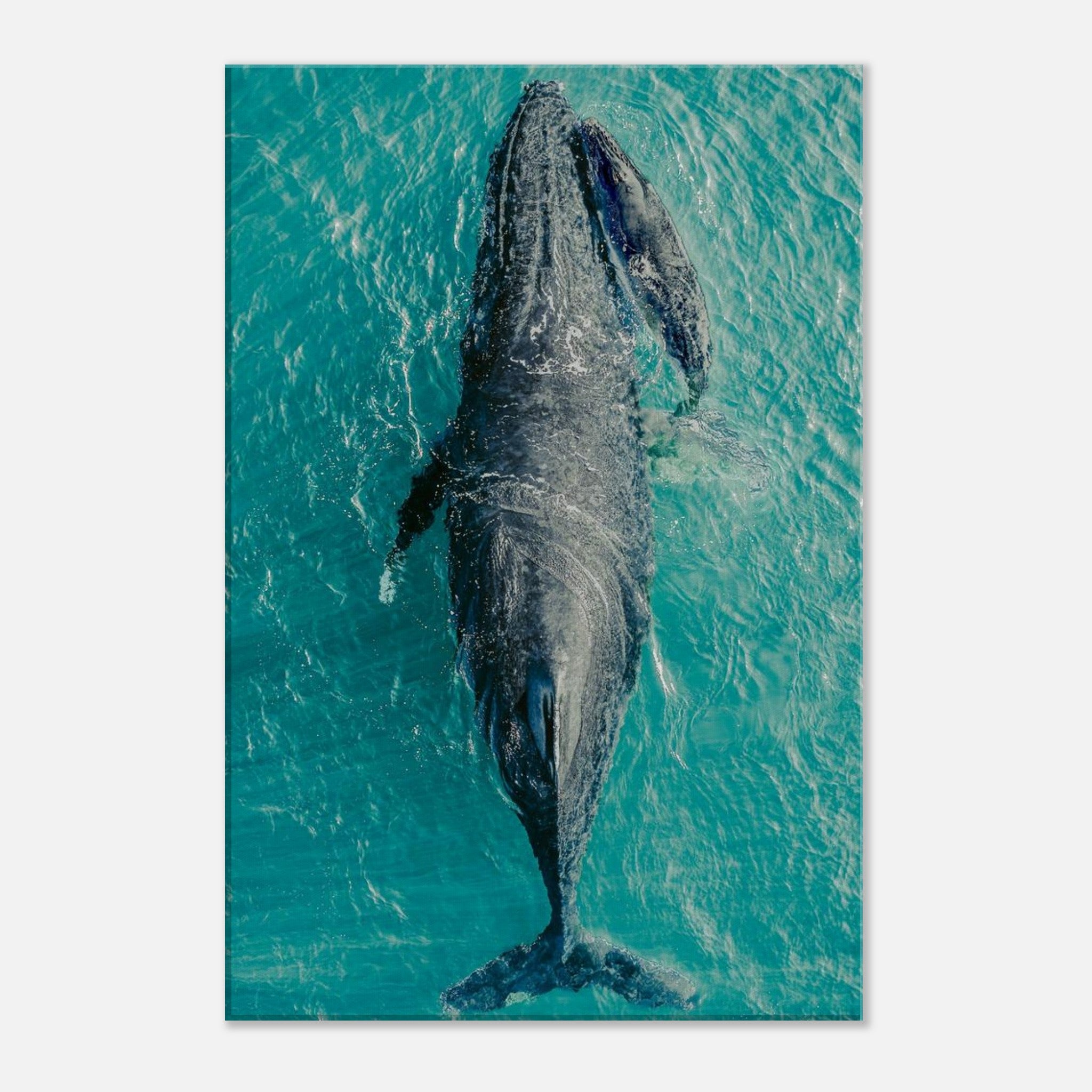 d69cf2c9-5112-4486-9d36-34f064bd13bf