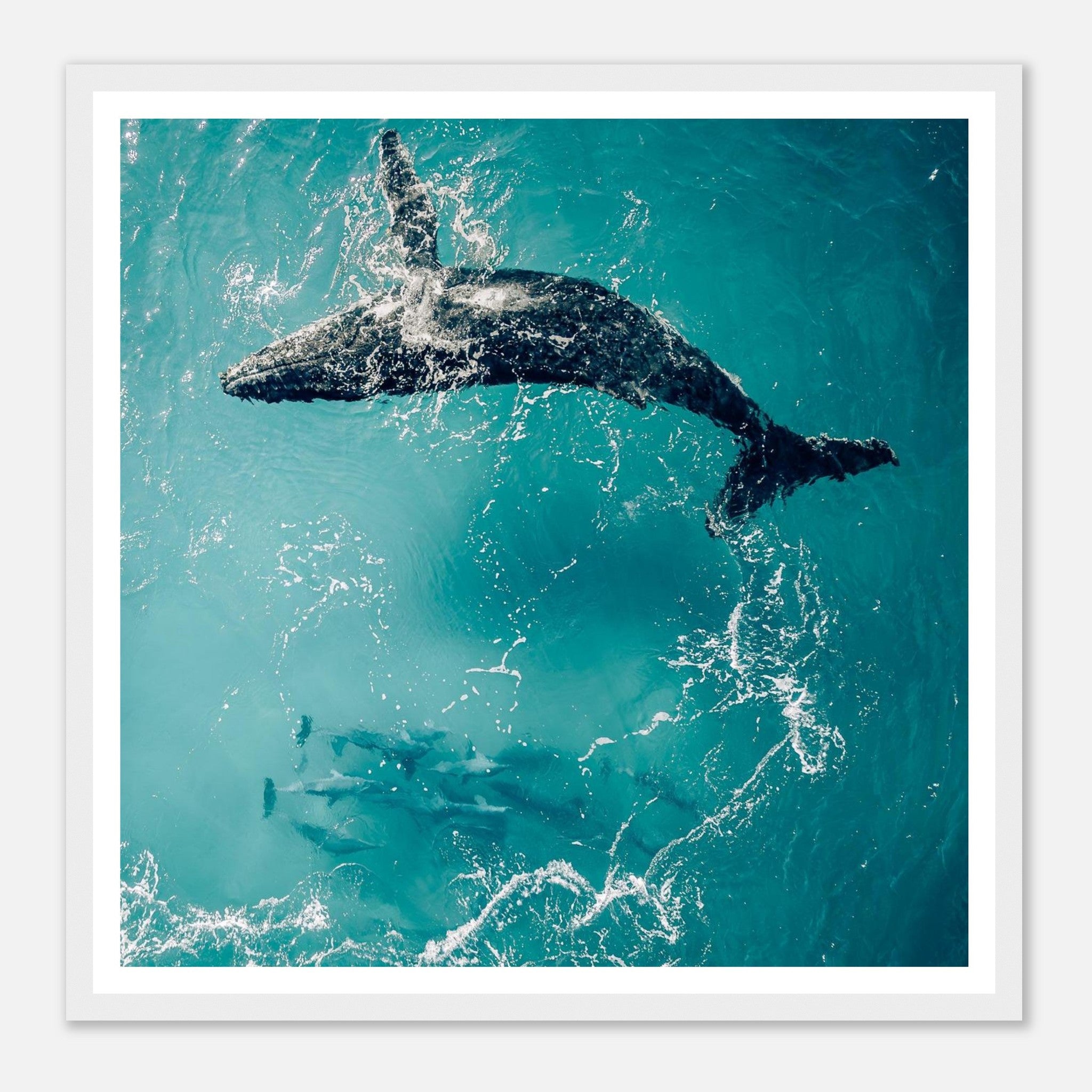 d6cbde36-3308-4056-831a-4c995b4ddf4a