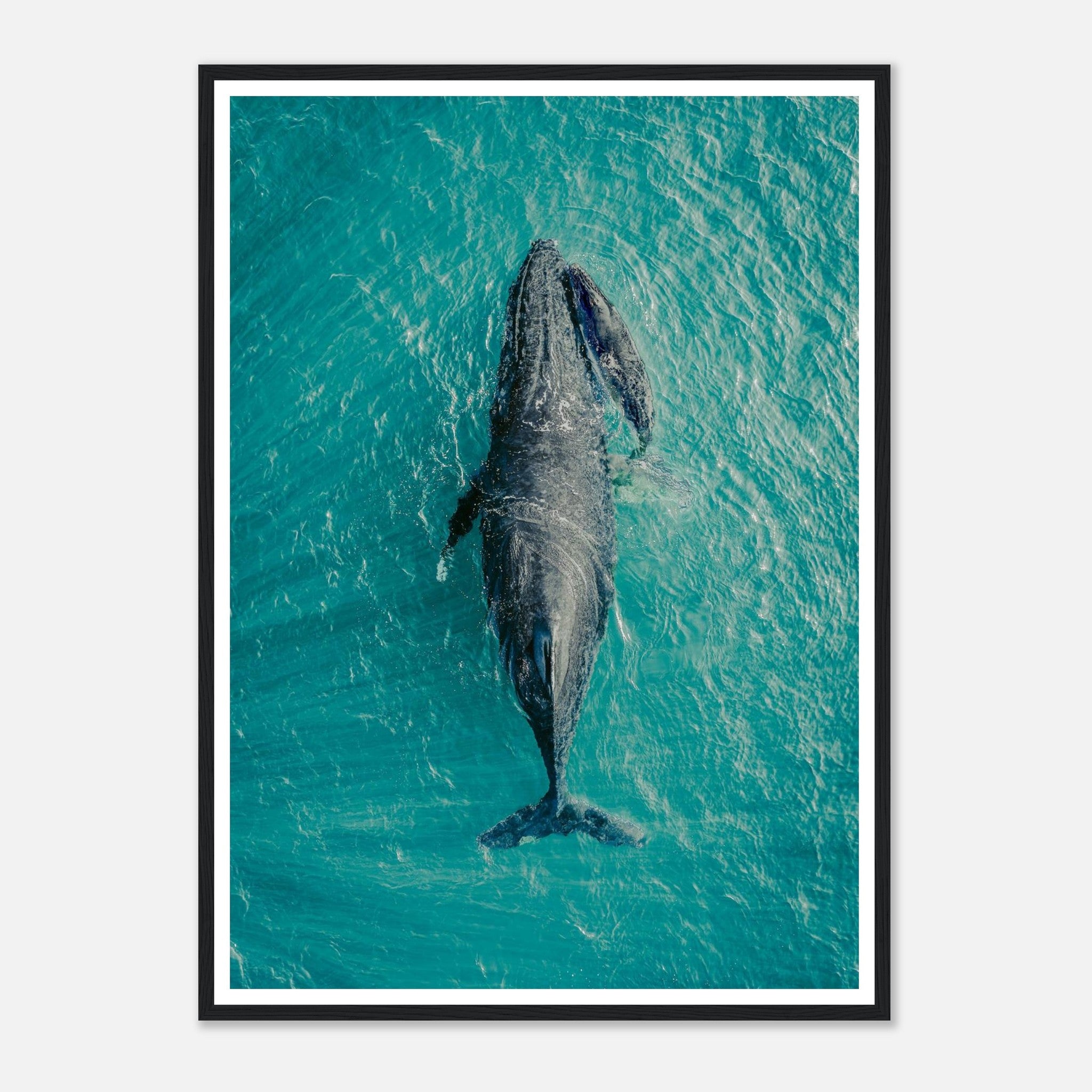 dab22ea5-508a-4e25-ac98-a163f324eafc