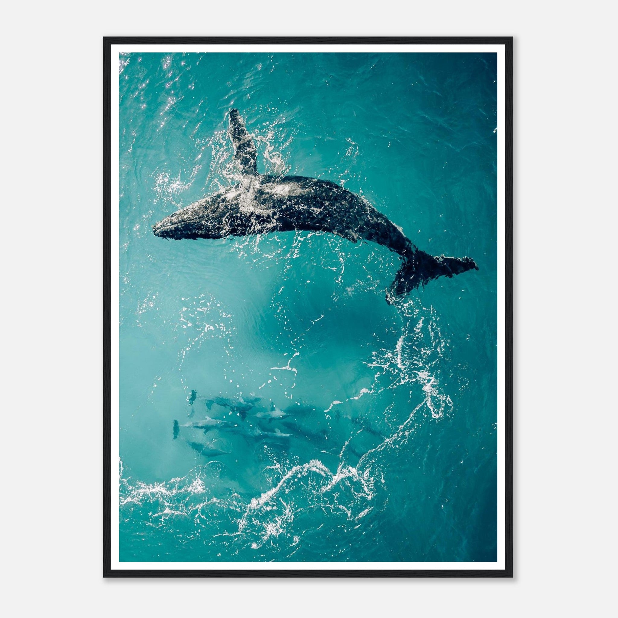 e05552c0-e0ff-441b-9a3e-f7e02194eff5