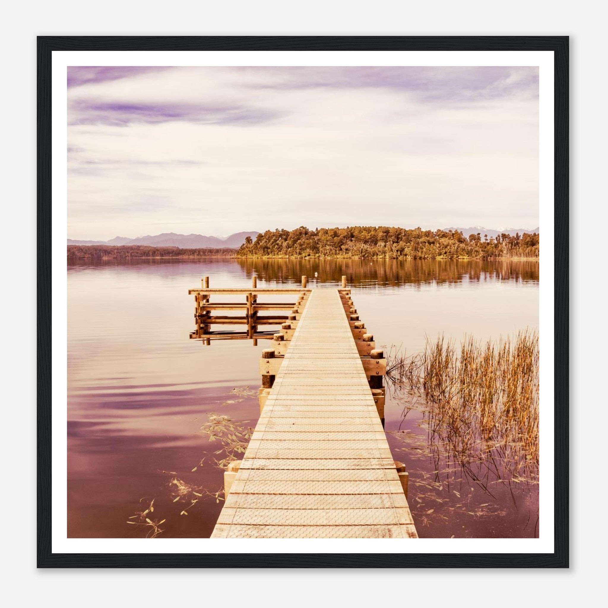 e115ff52-1981-4432-ba29-a741723b7ad2