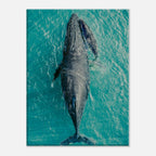 ea1c1370-6784-4b7f-9c25-646ba3057c5d