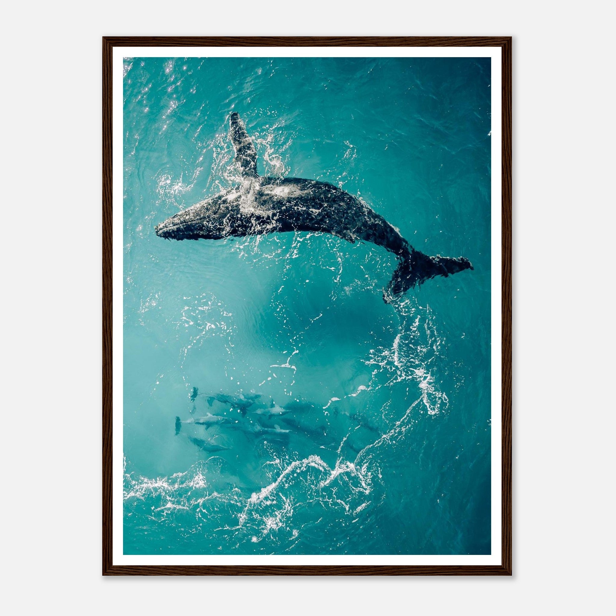 ea9ab734-124e-4e2f-abf6-33ddb8eca359