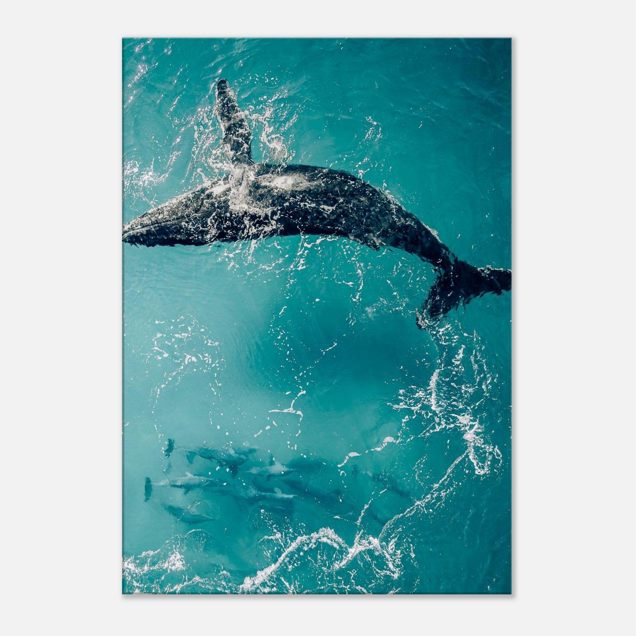 eaf599dc-f976-469b-8057-ce6d1a9270ba