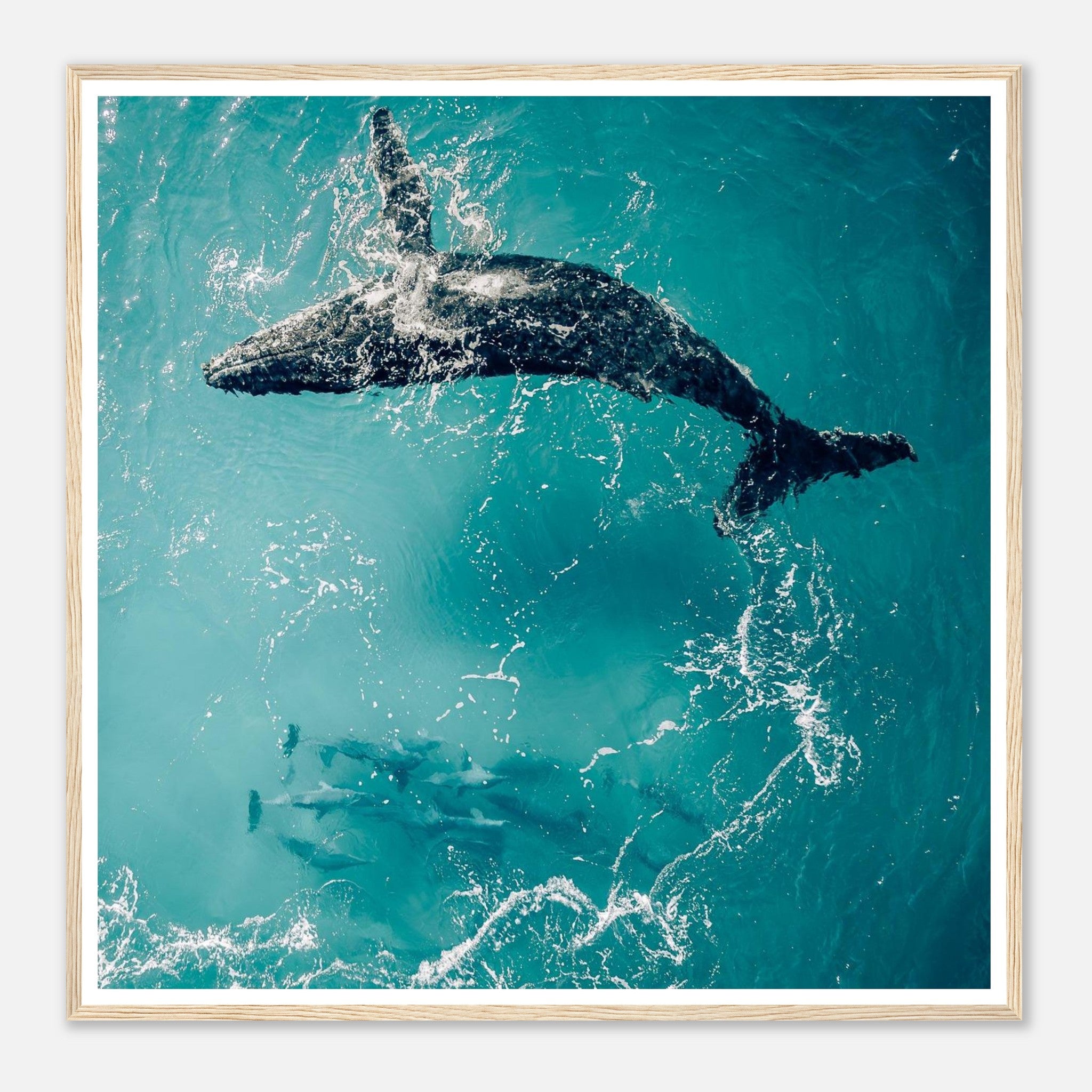 ebe574a7-6e27-4a28-ba97-c601469c5b46