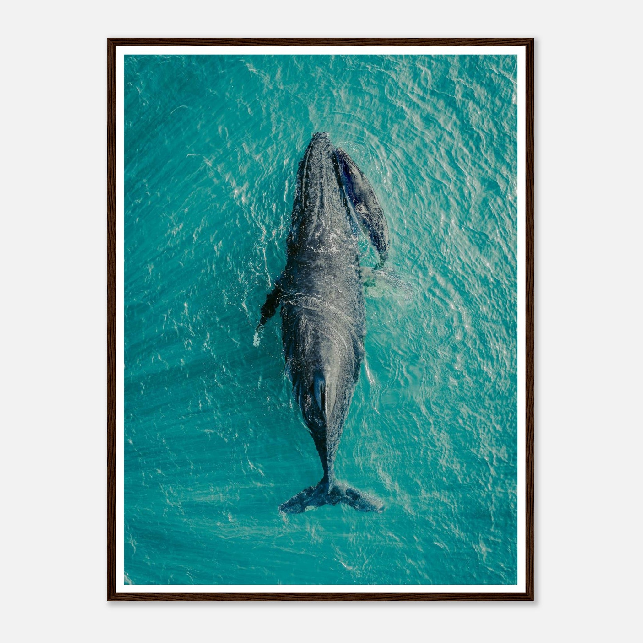 ebeda36e-de23-4b1a-96f8-e89b9d301283