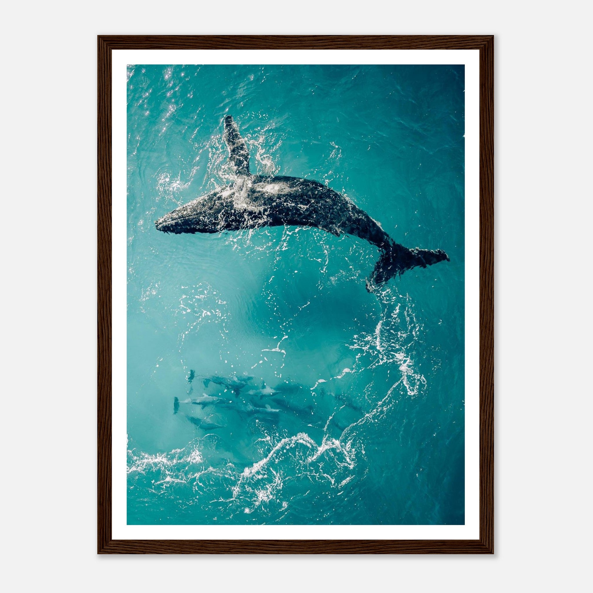 ecaa81ee-ad93-4513-baaf-f72286cc0a71