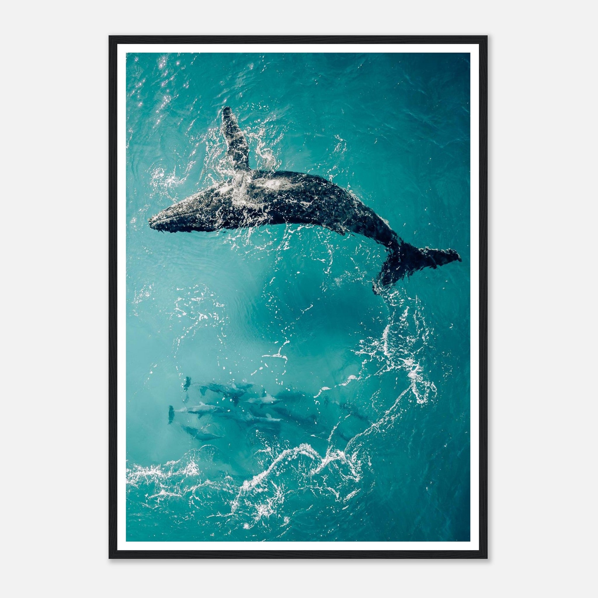 ed2b9161-87dd-4a44-b54e-c67c009c47fe