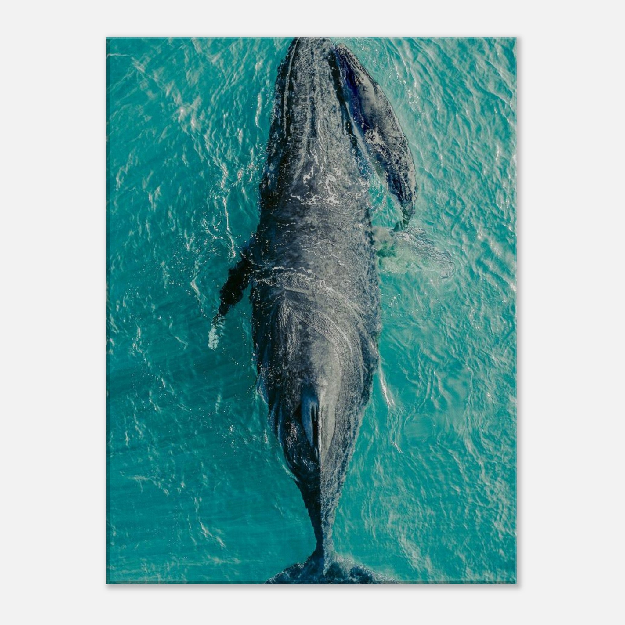 f168d6fd-3584-4cbe-838f-6850279843f5