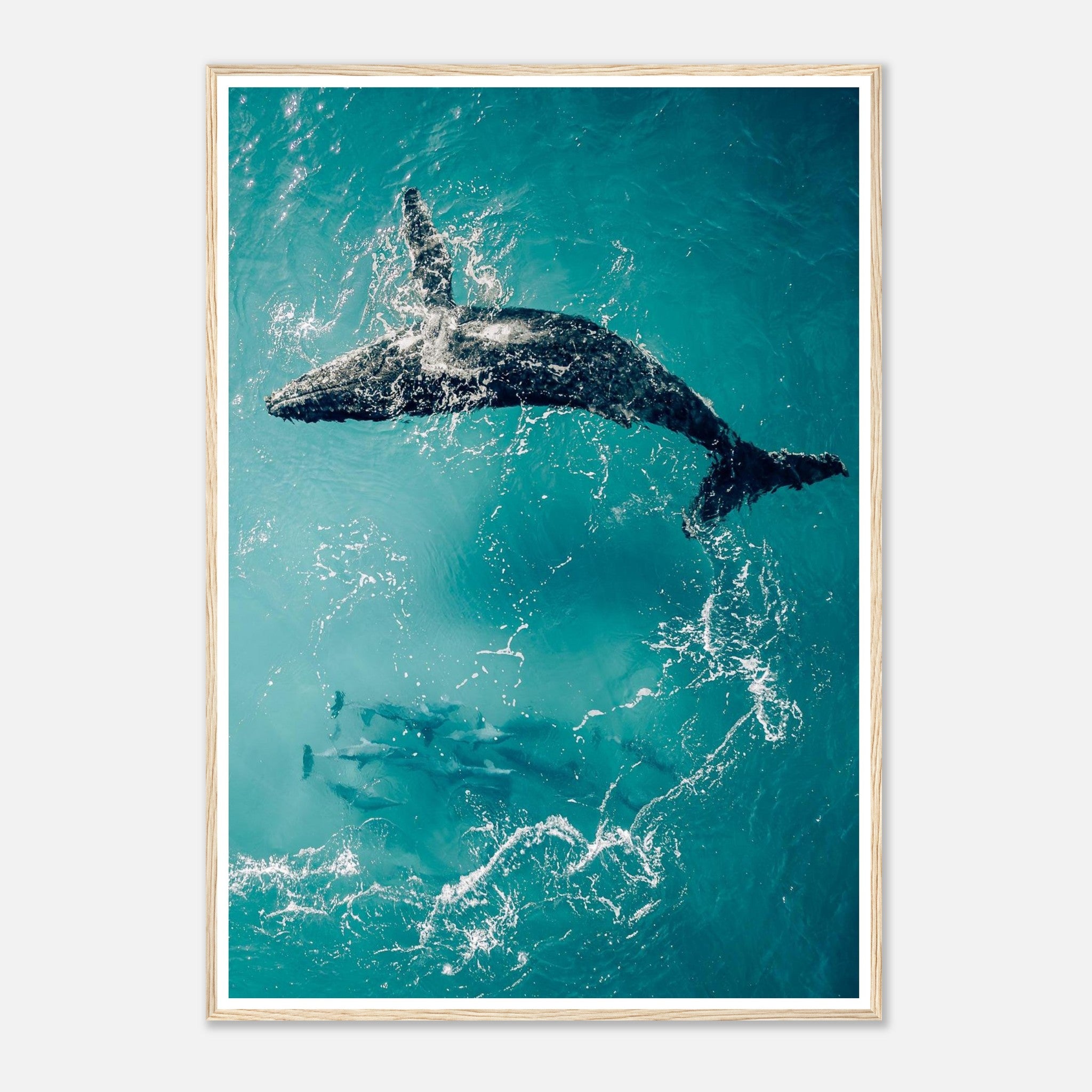 f52131e9-4558-4e50-aa1e-eba8825ccb89