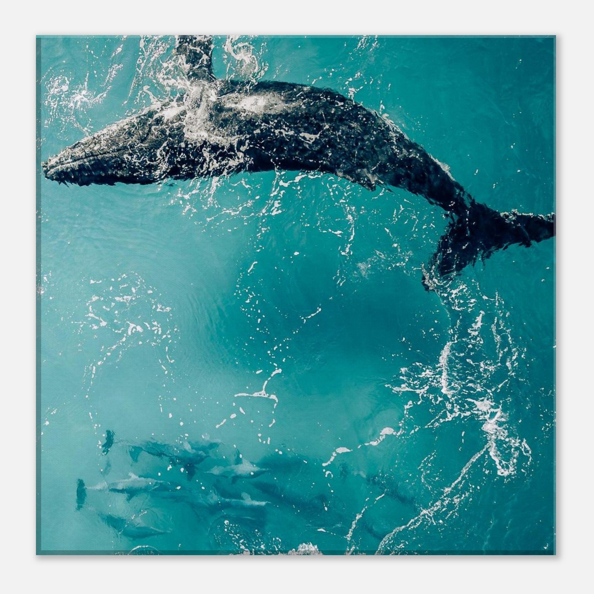 f92d708a-959a-4ab8-a95b-4073488d7dd1