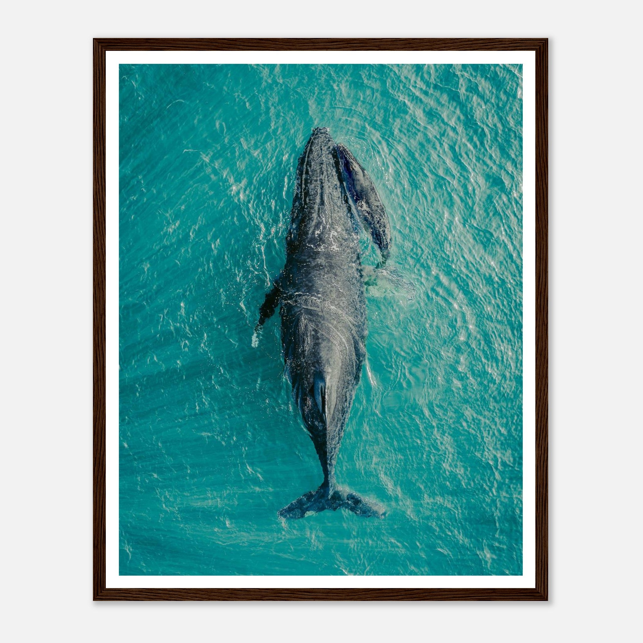 f93eaeeb-01c8-4834-977e-5a86ce405dda