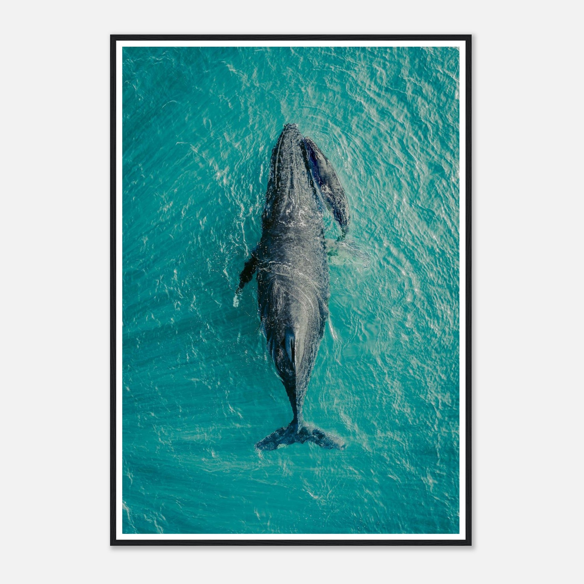 fab38d10-1d92-4556-8be5-4486d710c551