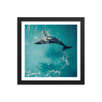 Whale & Dolphins - 1136