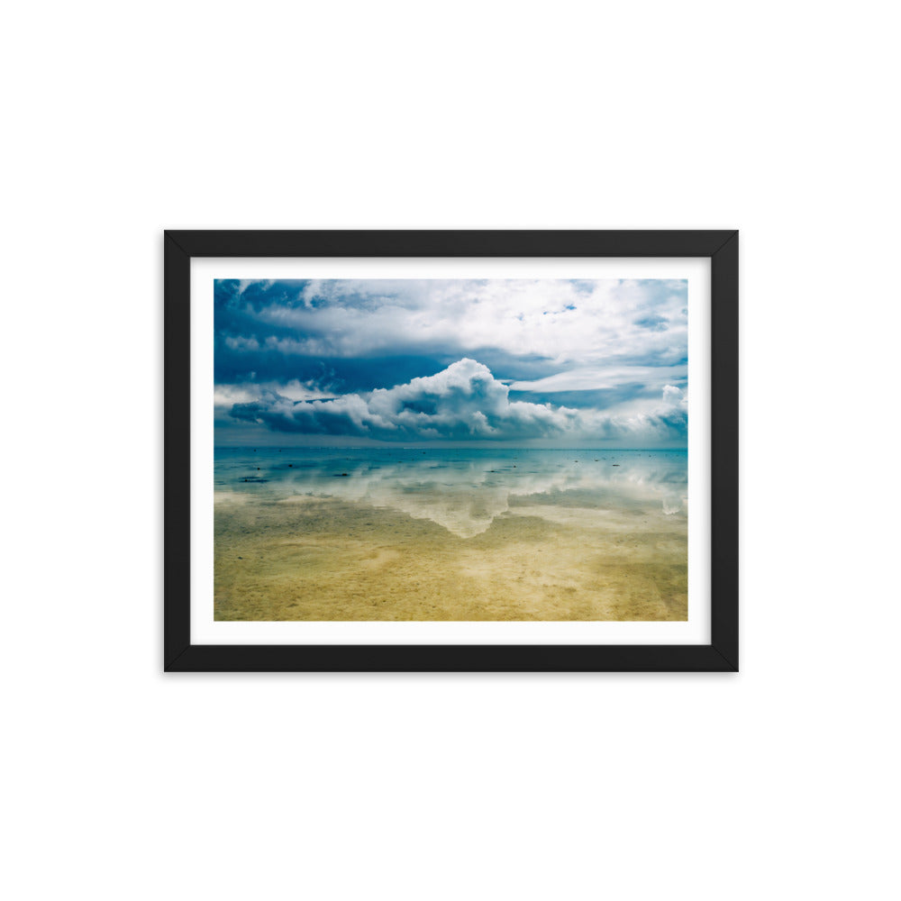Heron Island - 1169