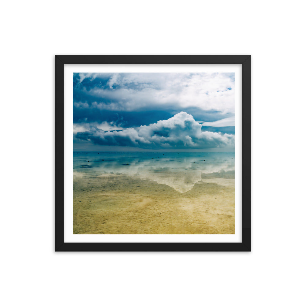 Heron Island - 1169