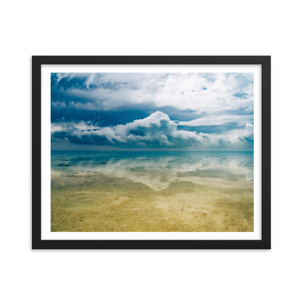 Heron Island - 1169