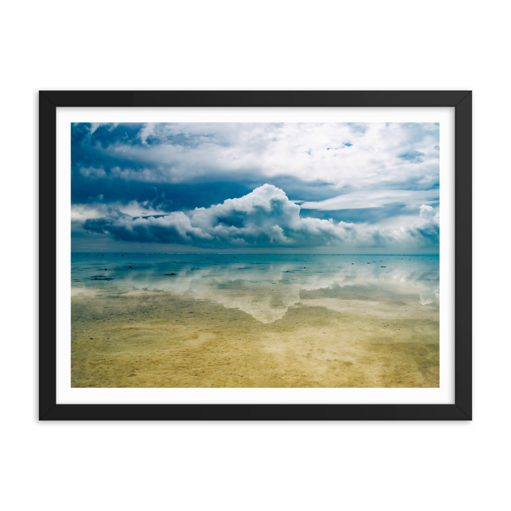 Heron Island - 1169