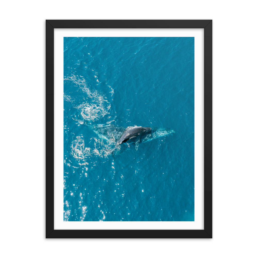 Mother & Baby Whale - 1191