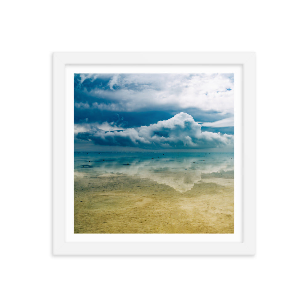 Heron Island - 1169