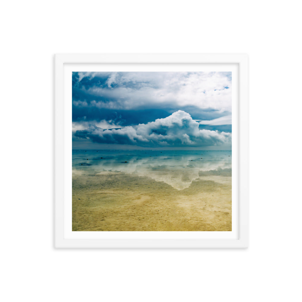 Heron Island - 1169