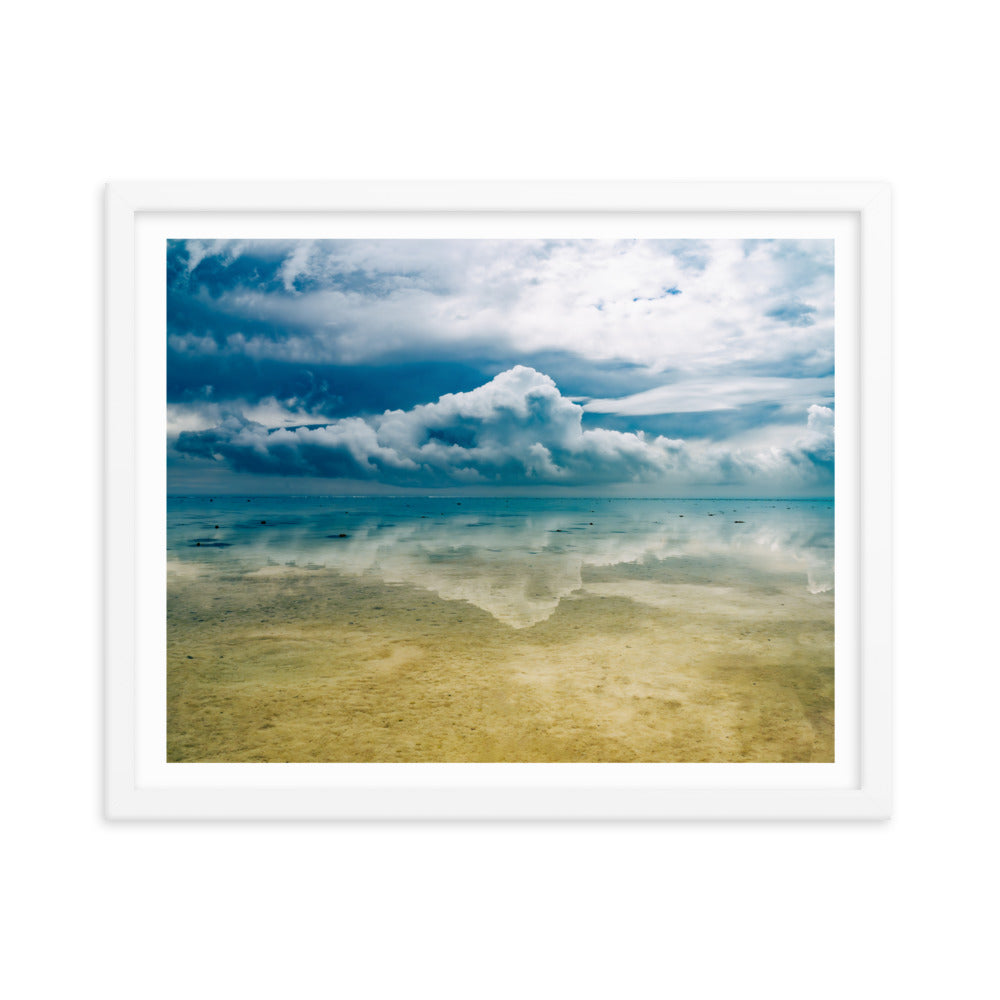 Heron Island - 1169