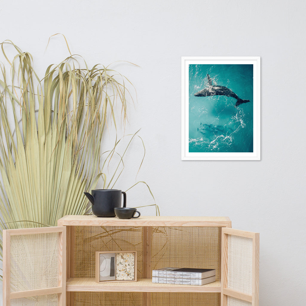 Whale & Dolphins - 1136