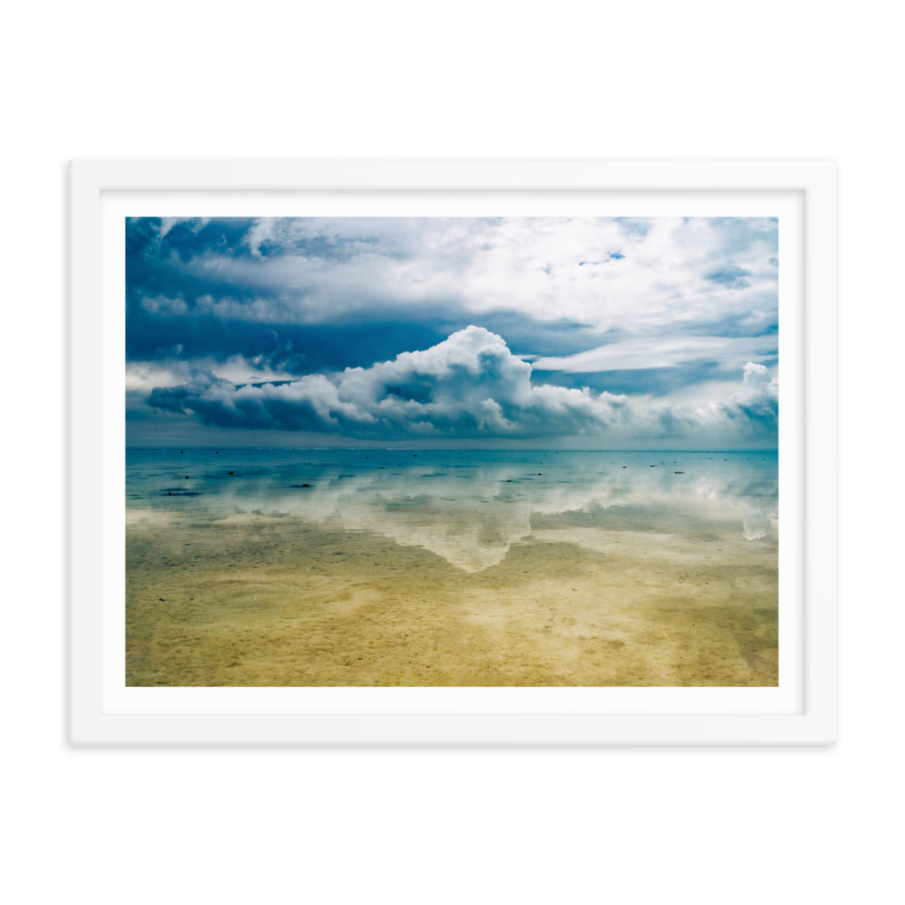 Heron Island - 1169