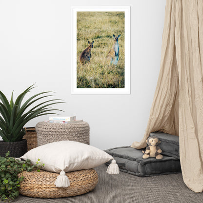Kangaroos - 1144
