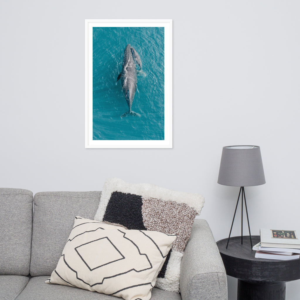 Whales - 1218