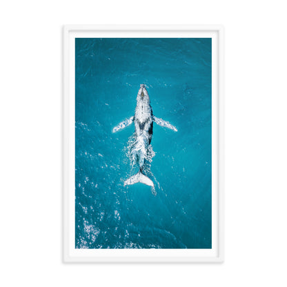 Whale - 1182